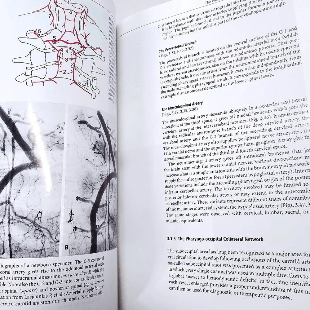 Springer Surgical Neuro-angiography 1 Clinical Vascular Anatomy‎ 2nd Ed GD